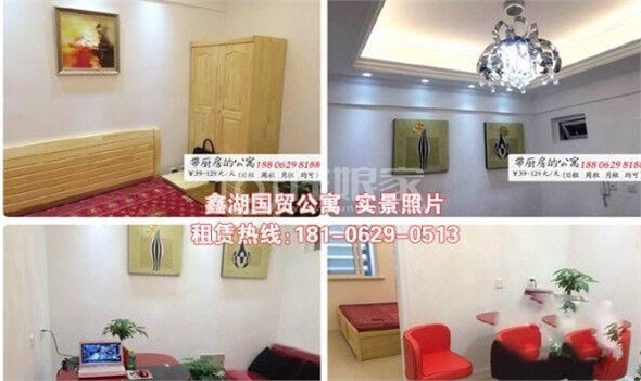 鑫湖国贸公寓精装修