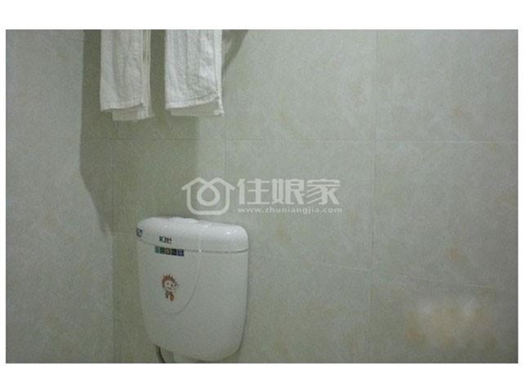  owl image