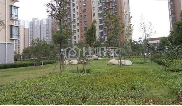 *独墅湖地区 精装公寓 价廉物美