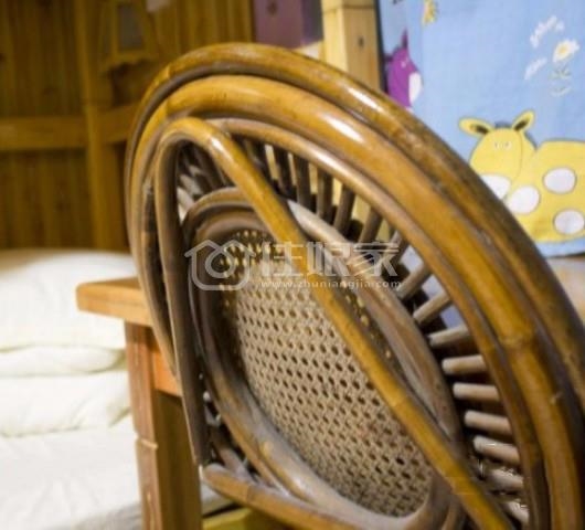 owl image