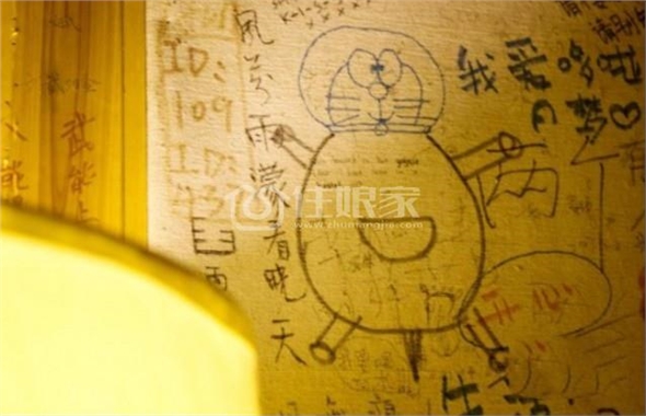  owl image