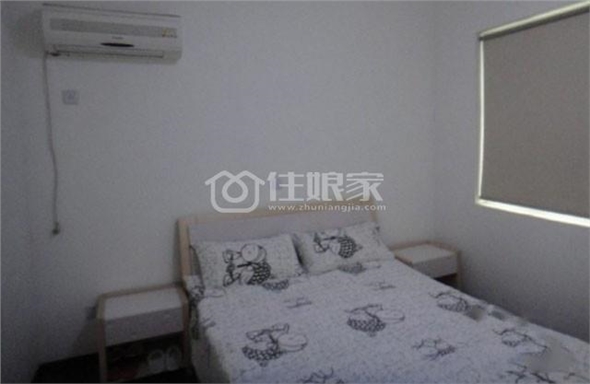  owl image