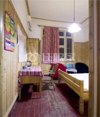  owl image