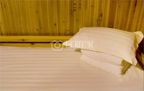  owl image