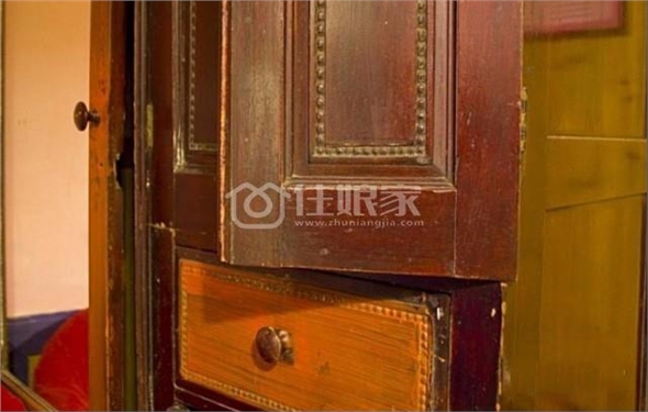  owl image