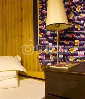  owl image