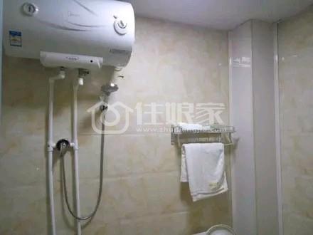  owl image