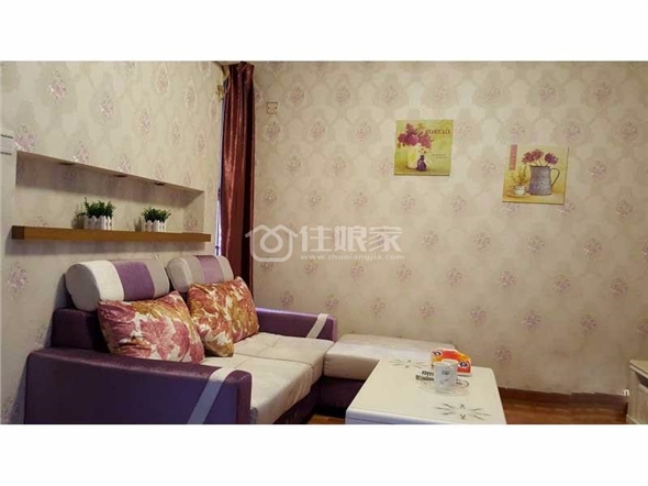  owl image