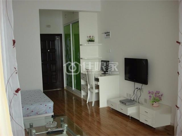  owl image