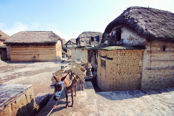 千年云梯上，感受百年古村落阿者科