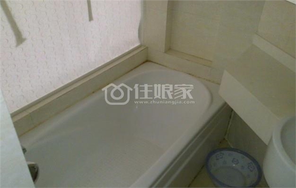  owl image