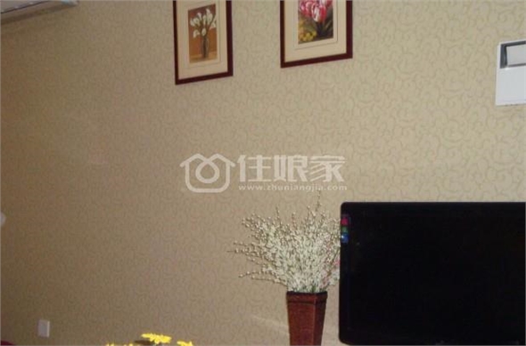  owl image