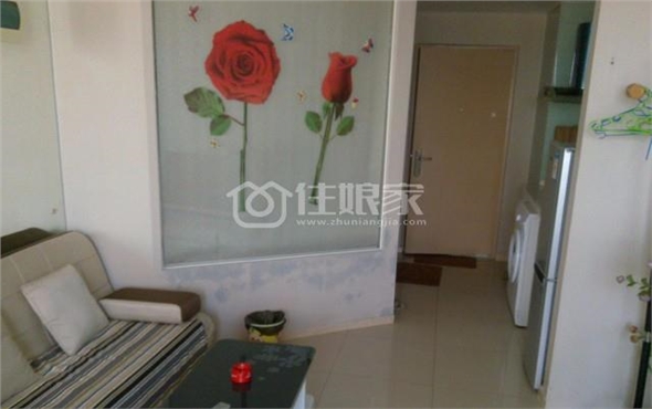  owl image