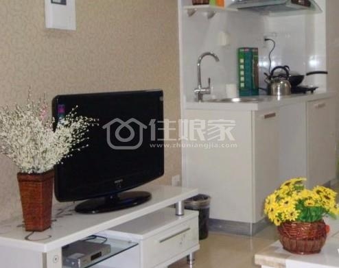 *万达39克拉酒店公寓日租（月租）特