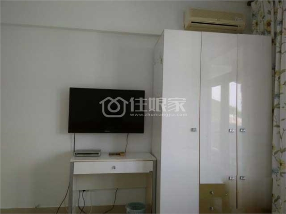  owl image