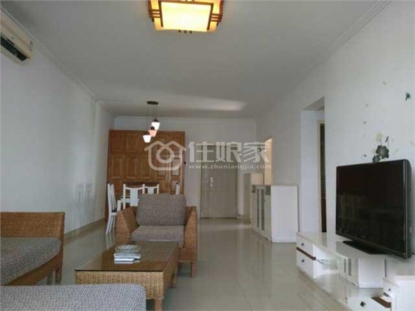  owl image