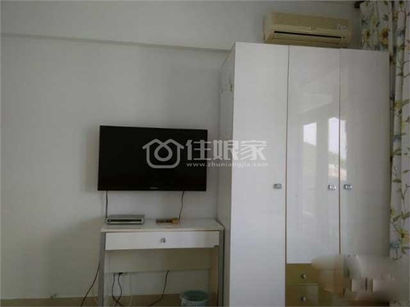  owl image