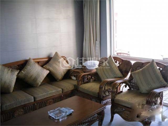  owl image
