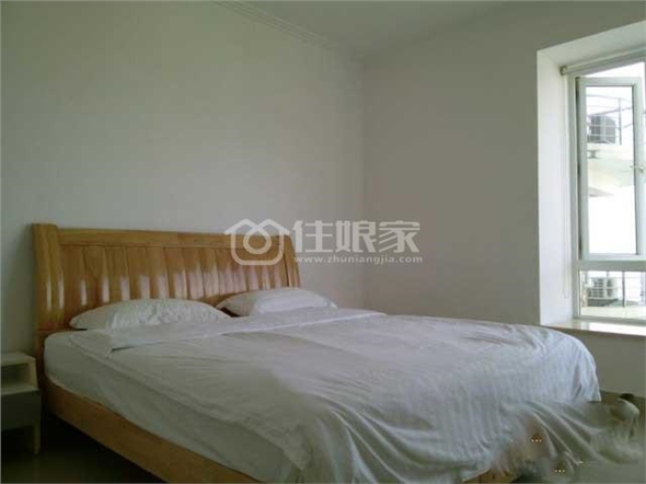 owl image