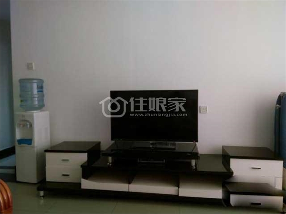  owl image