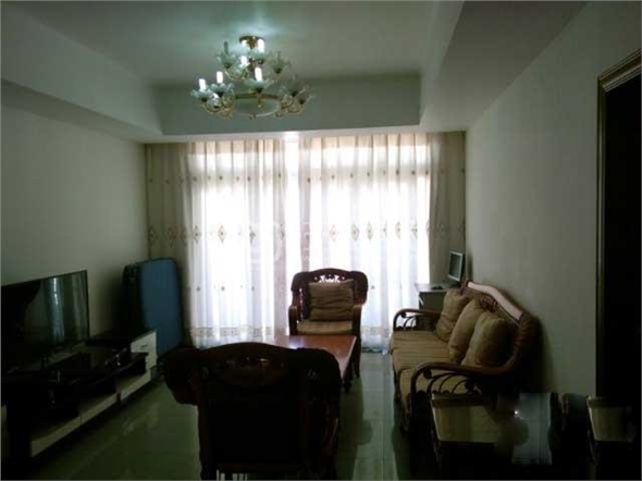  owl image