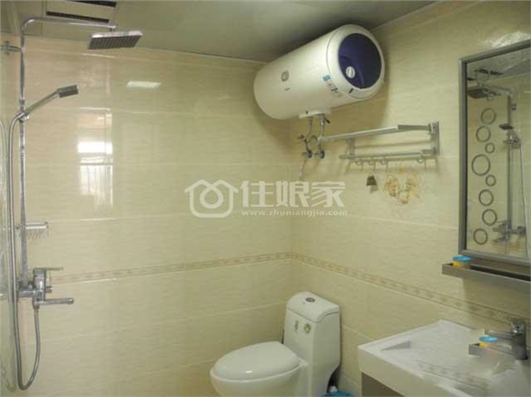  owl image