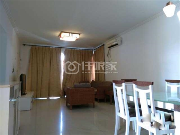  owl image