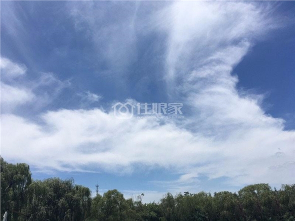 济南林里天怡度假别墅酒店体验房