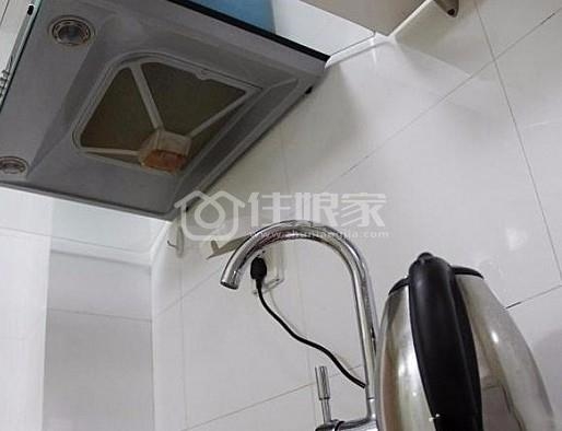  owl image