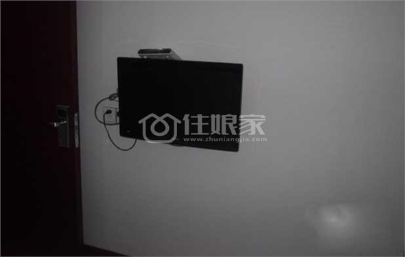  owl image