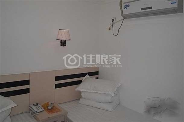  owl image
