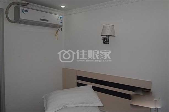 owl image