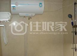  owl image