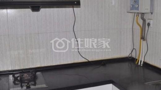  owl image
