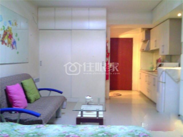  owl image
