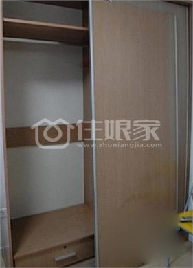  owl image