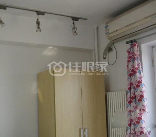  owl image