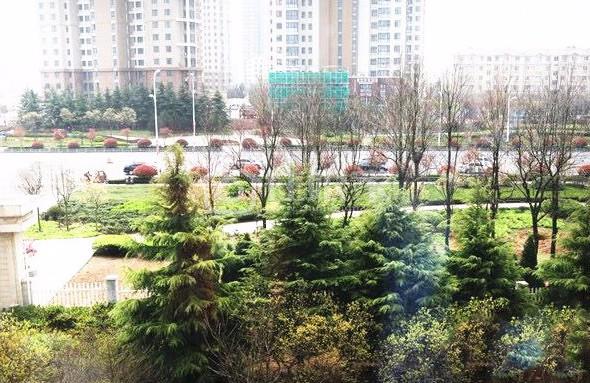 凤凰城小区豪华装修套二双人床