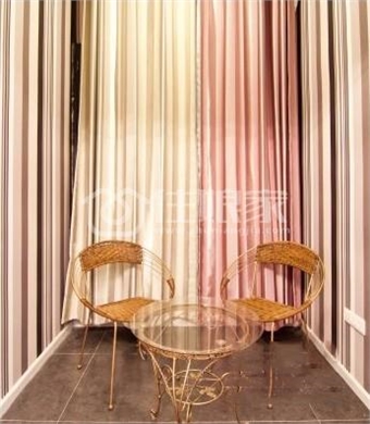  owl image