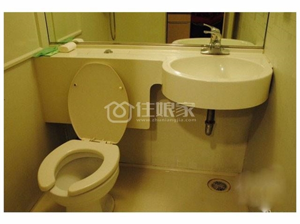 *花季？雨季？不如蚂蚁圣天地