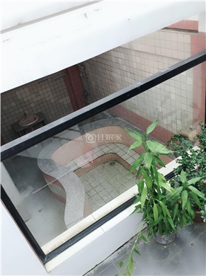 owl image