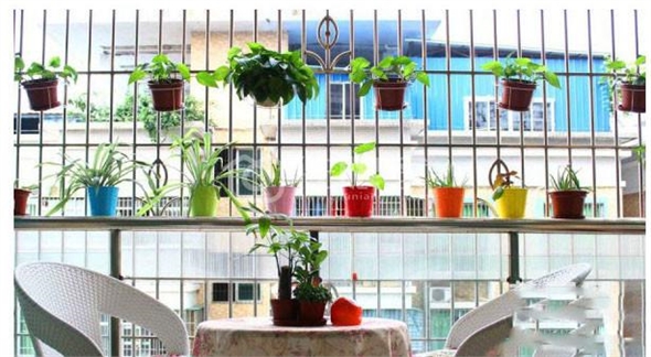 清远年初一青年旅舍