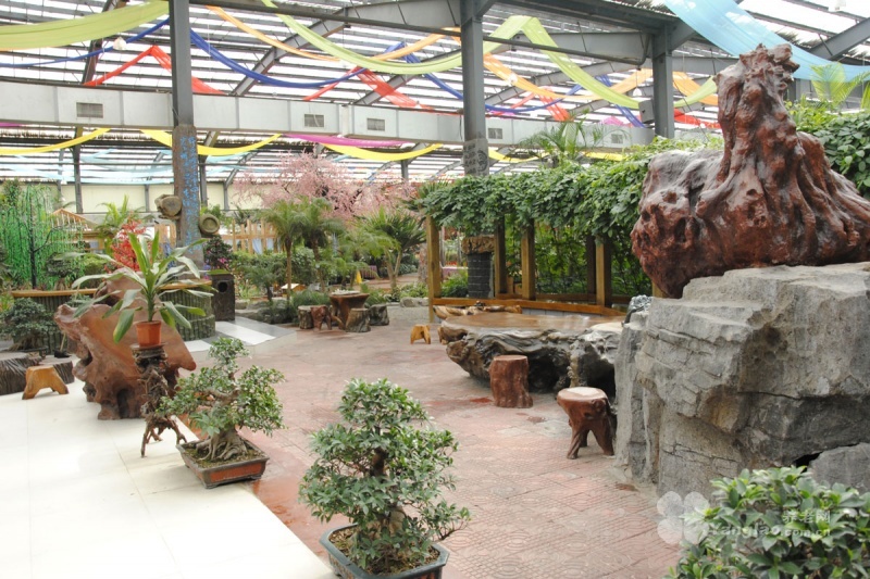 
              北镇市春天生态园老年休养中心                            