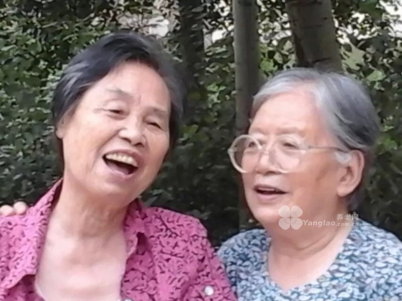 
              偃师市怡心苑康乐养老中心                            