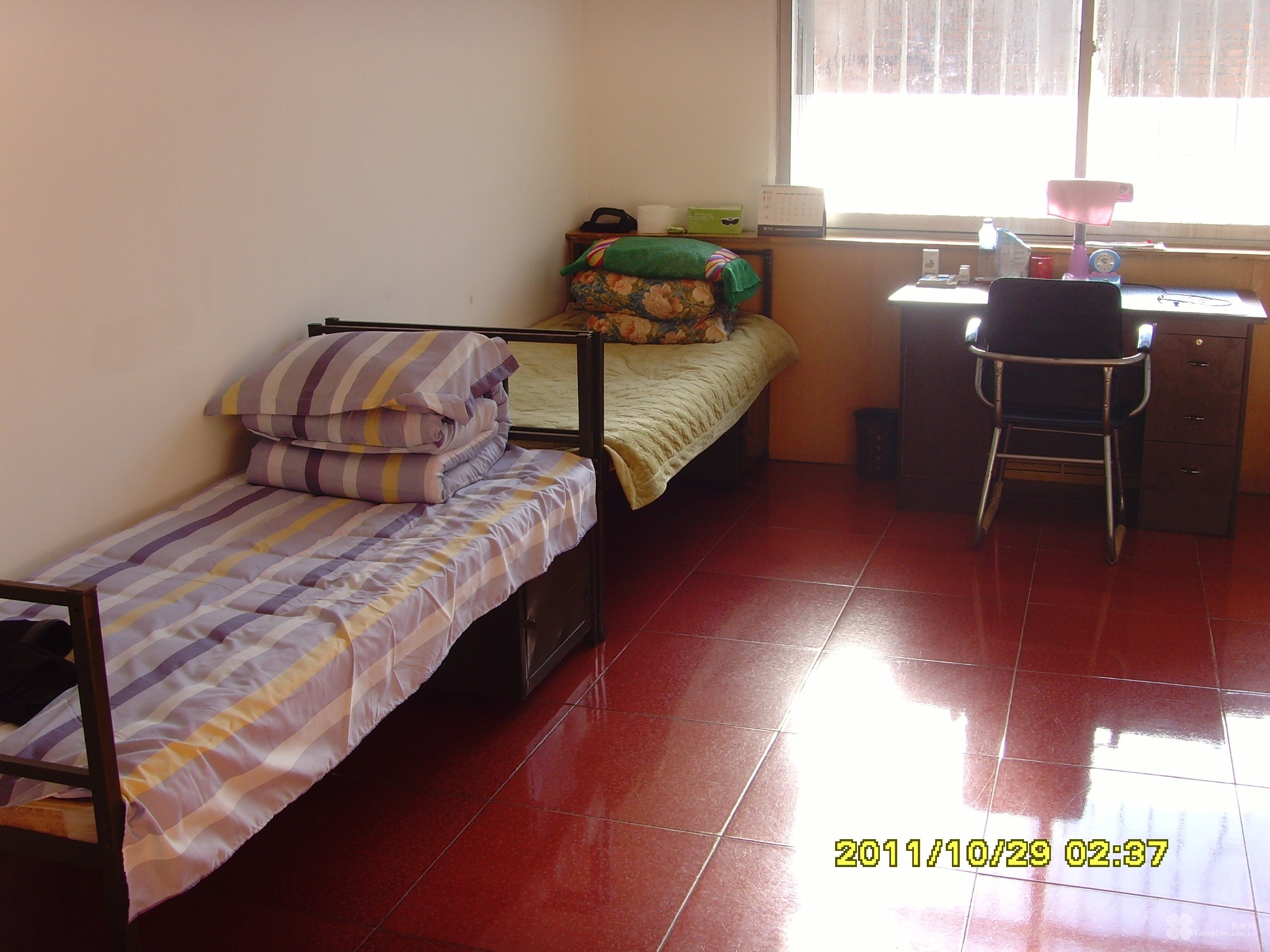 
              吉林省延吉市慈慧夕阳院                            