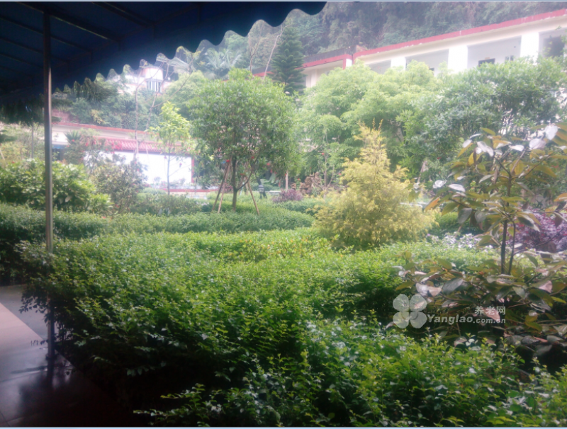 
              乐山颐年养老服务中心                            