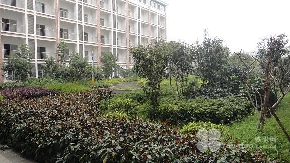 
              福建省龙岩市同心圆护理院（原龙岩市福利中心）                            