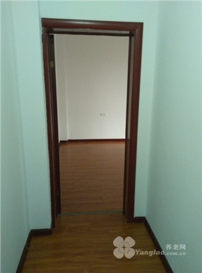 owl image
