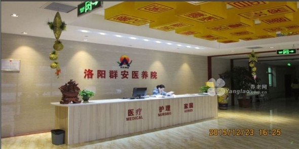 owl image
