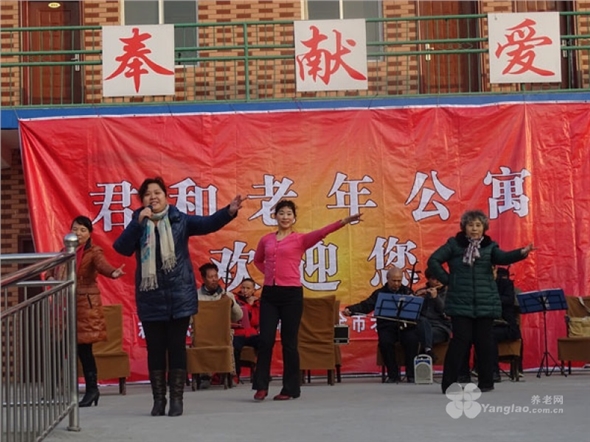 owl image
